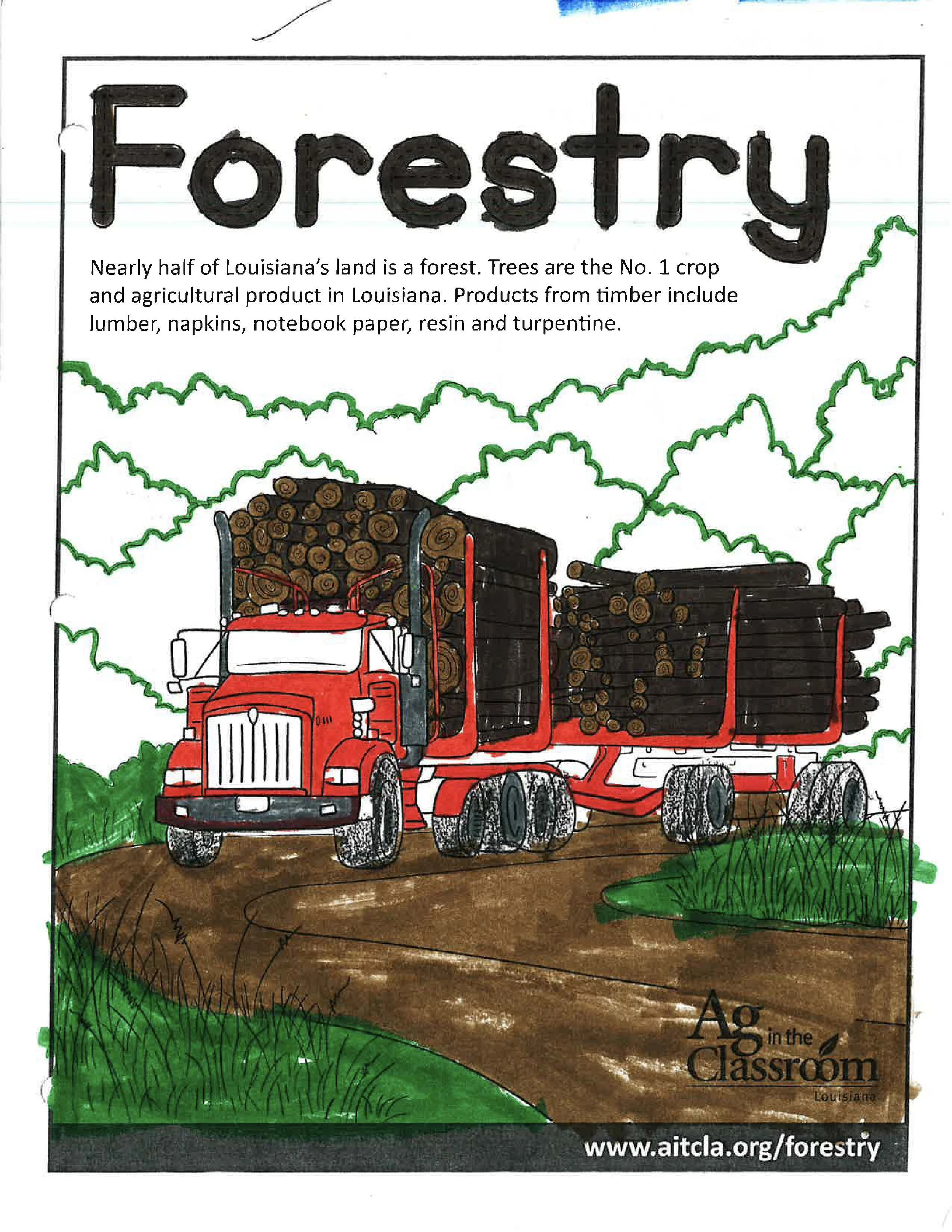 Forestry Color Sheets 2026_Page_3.jpg