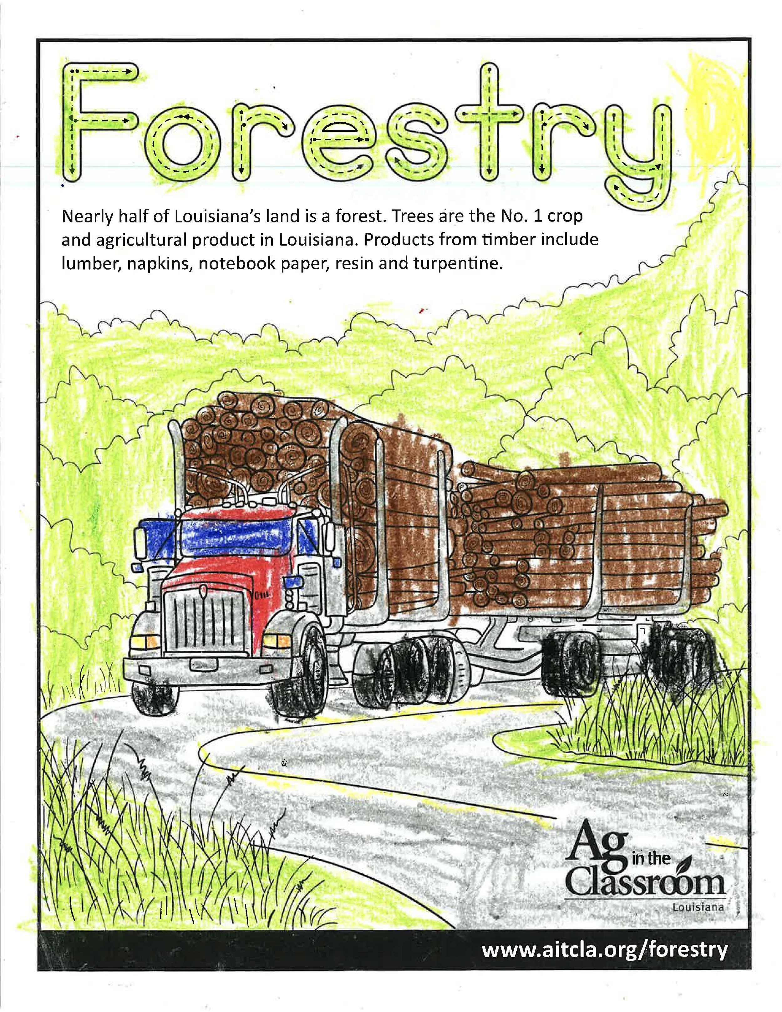 Forestry Color Sheets 2026_Page_4.jpg