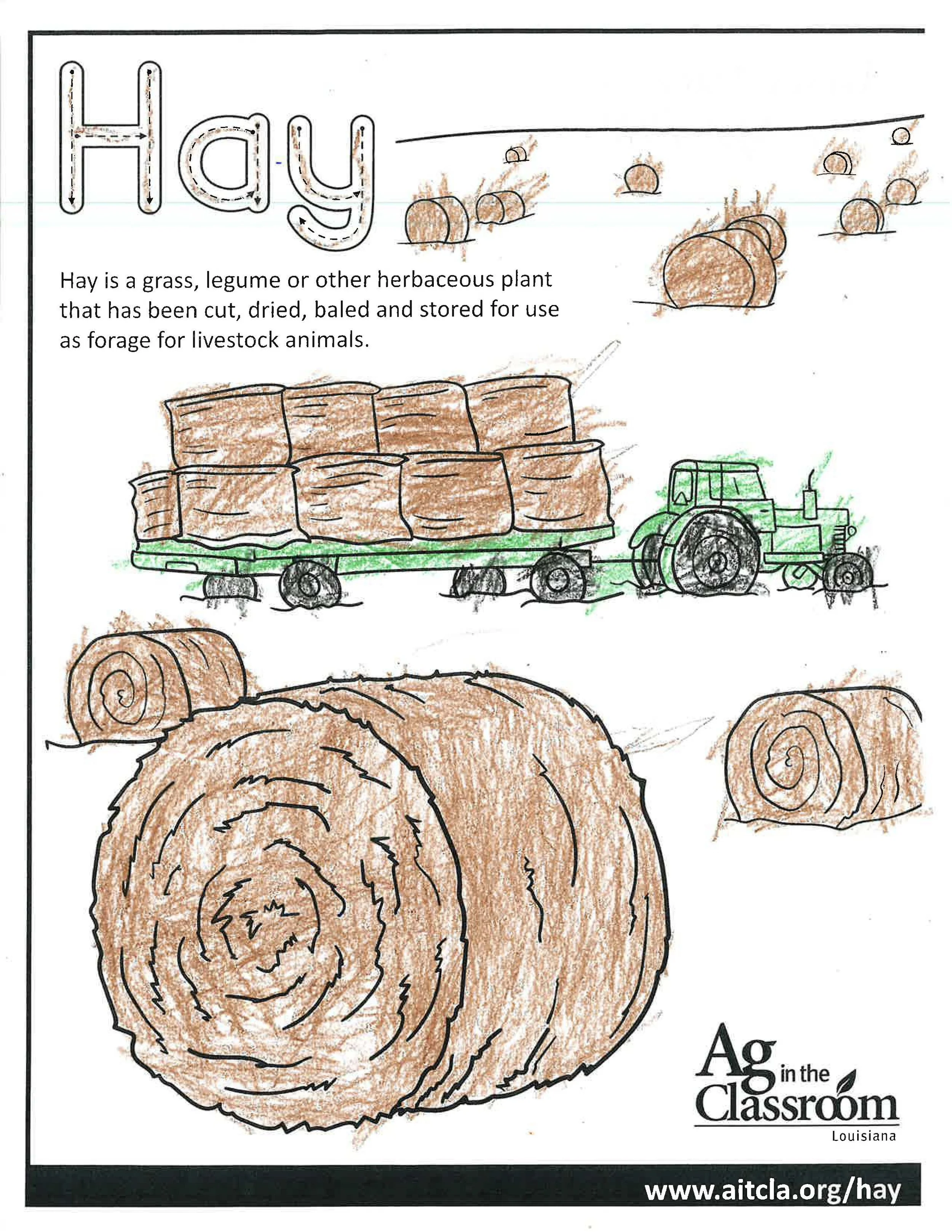 Hay Color Sheets 2026_Page_3.jpg