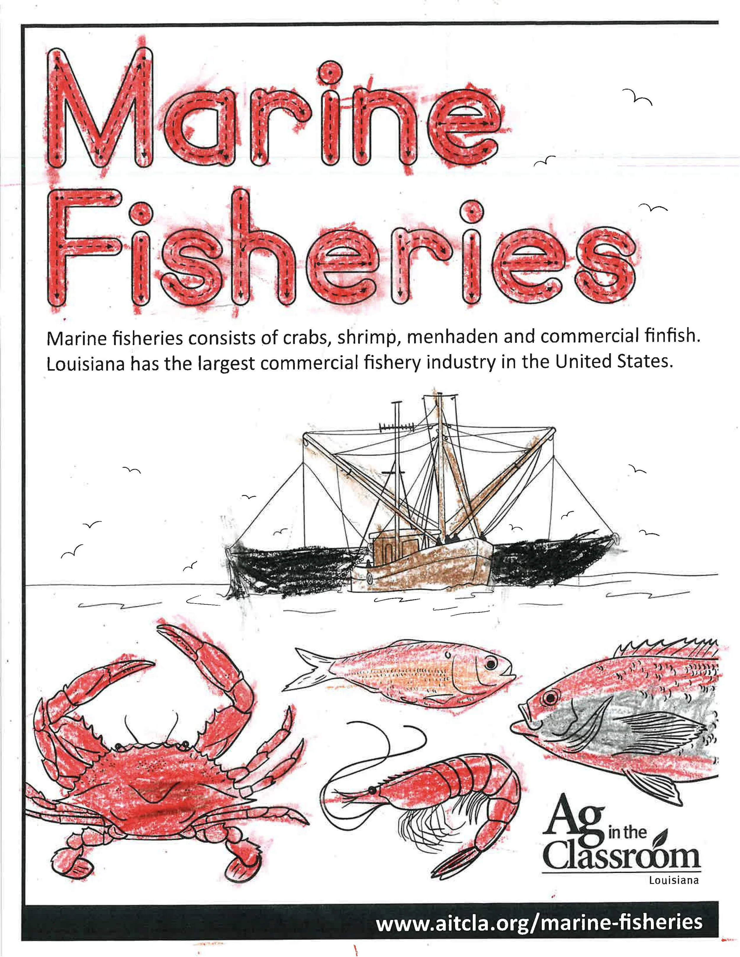Marine Fisheries Color Sheets 2026_Page_4.jpg