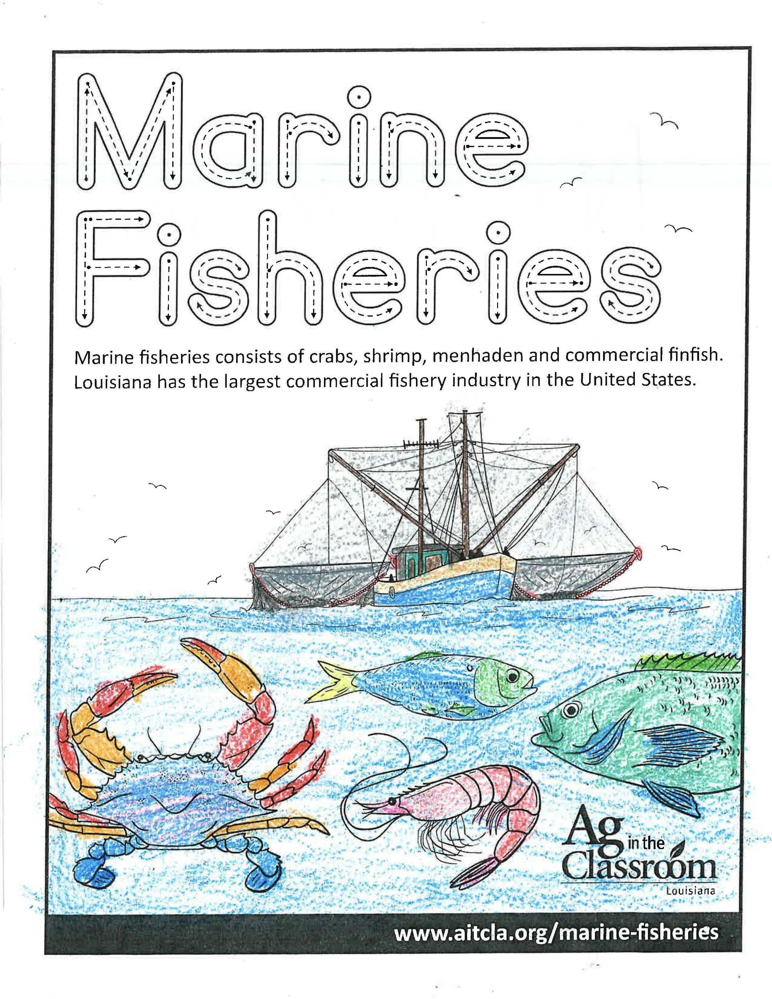 Marine Fisheries Color Sheets 2026_Page_8.jpg