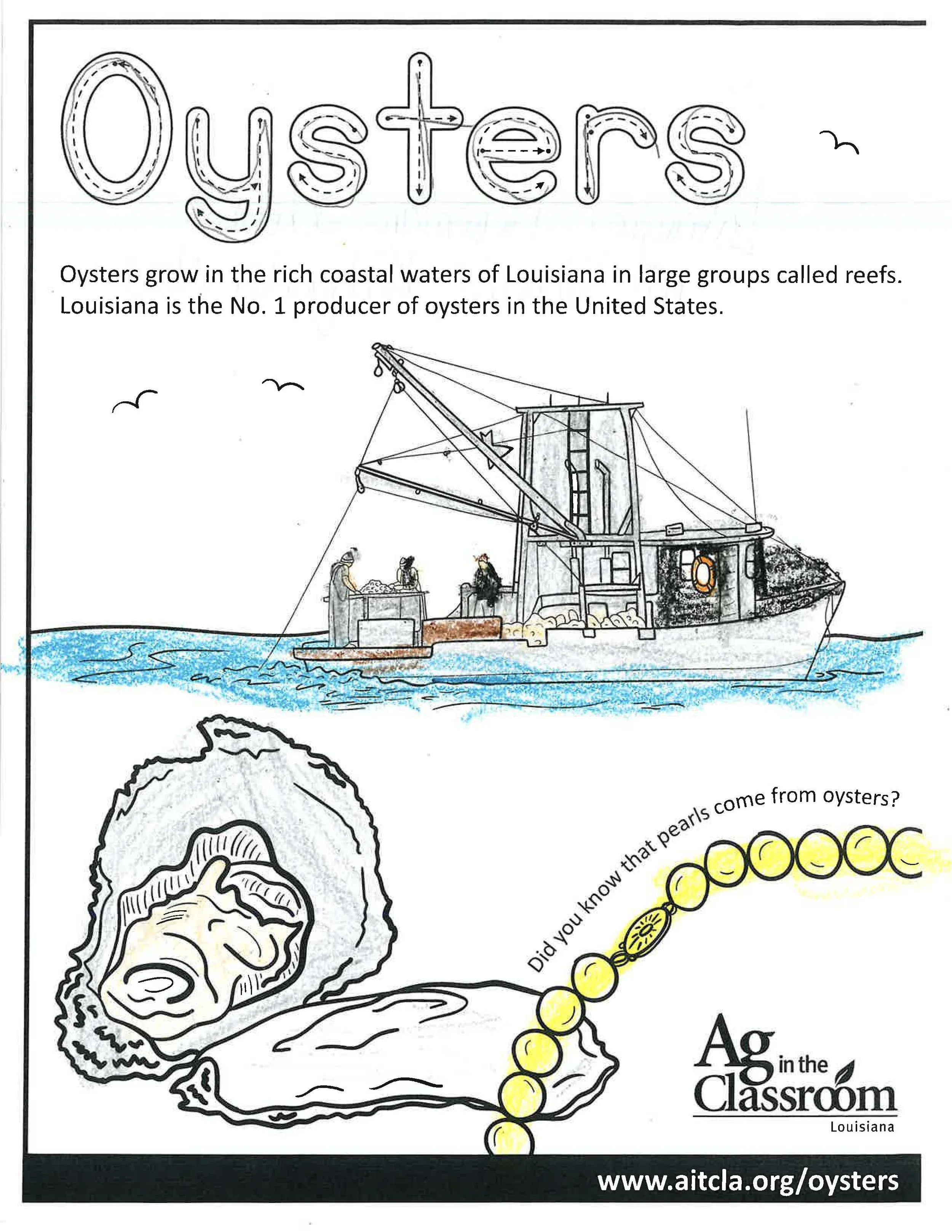 Oysters Color Sheets 2026_Page_2.jpg