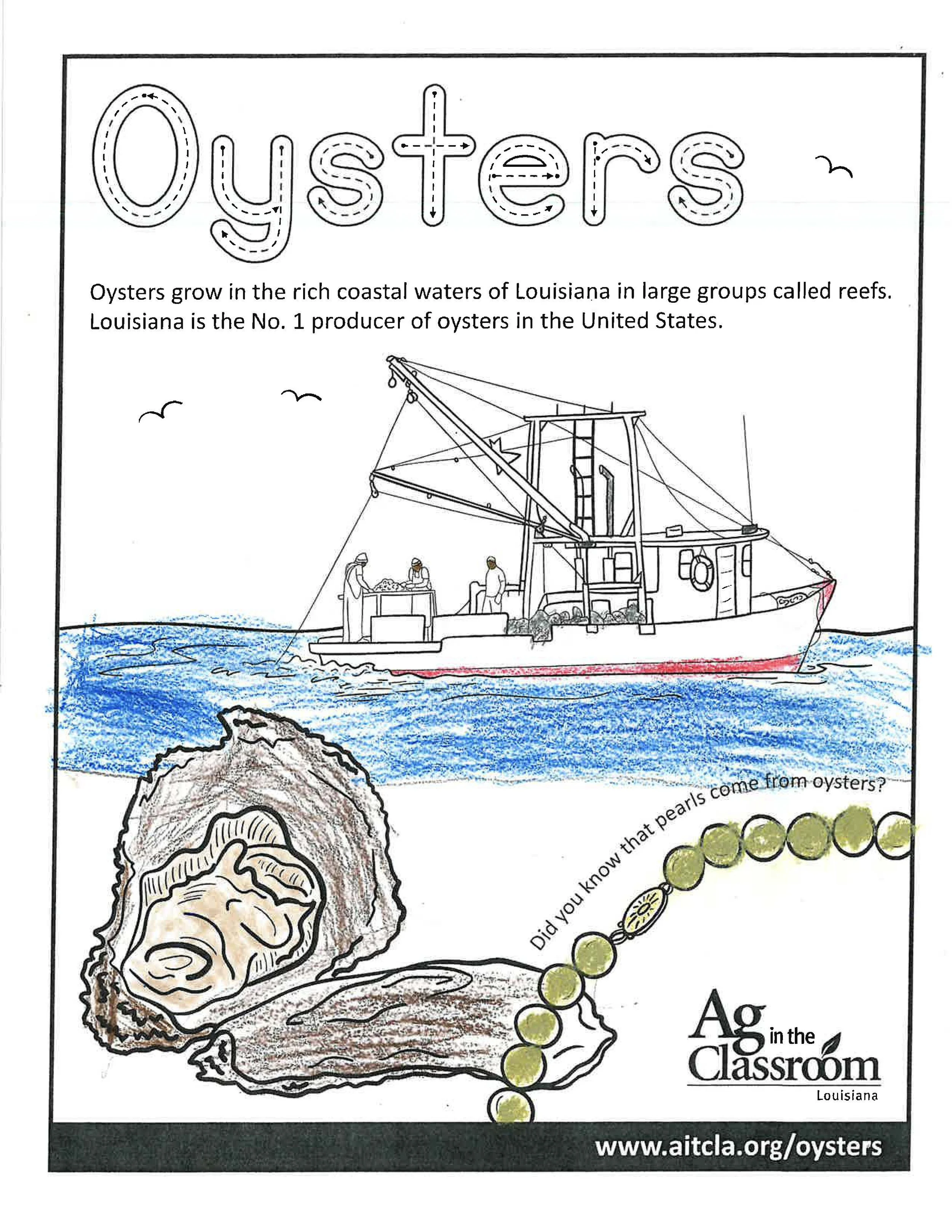 Oysters Color Sheets 2026_Page_5.jpg
