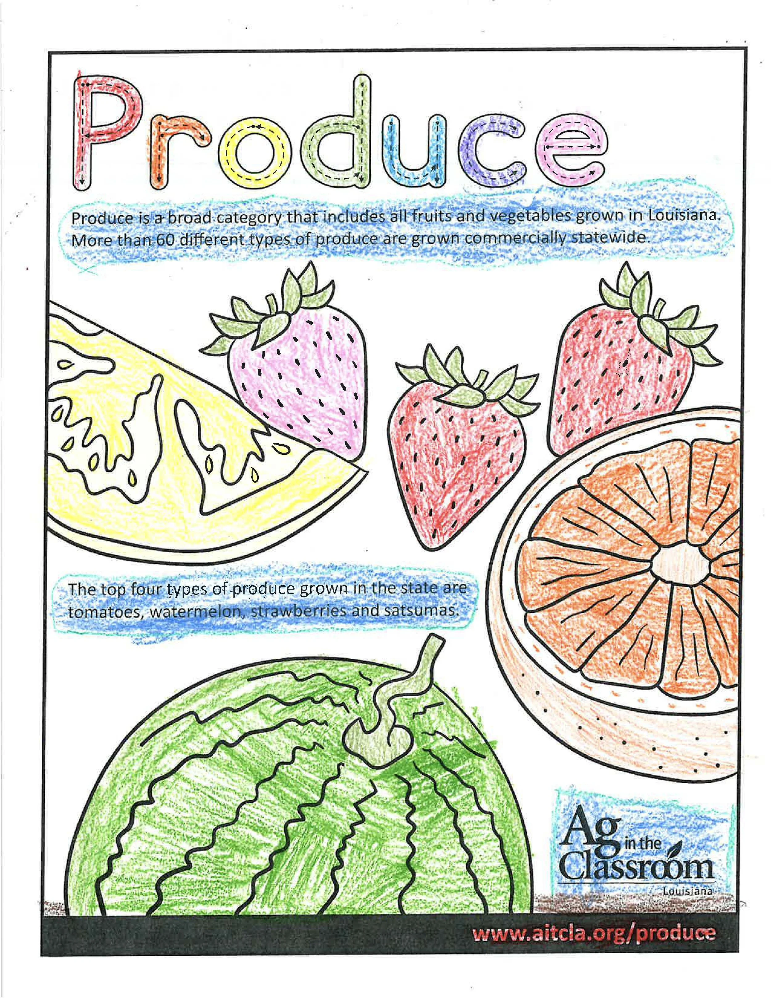 Produce Color Sheets 2026_Page_10.jpg