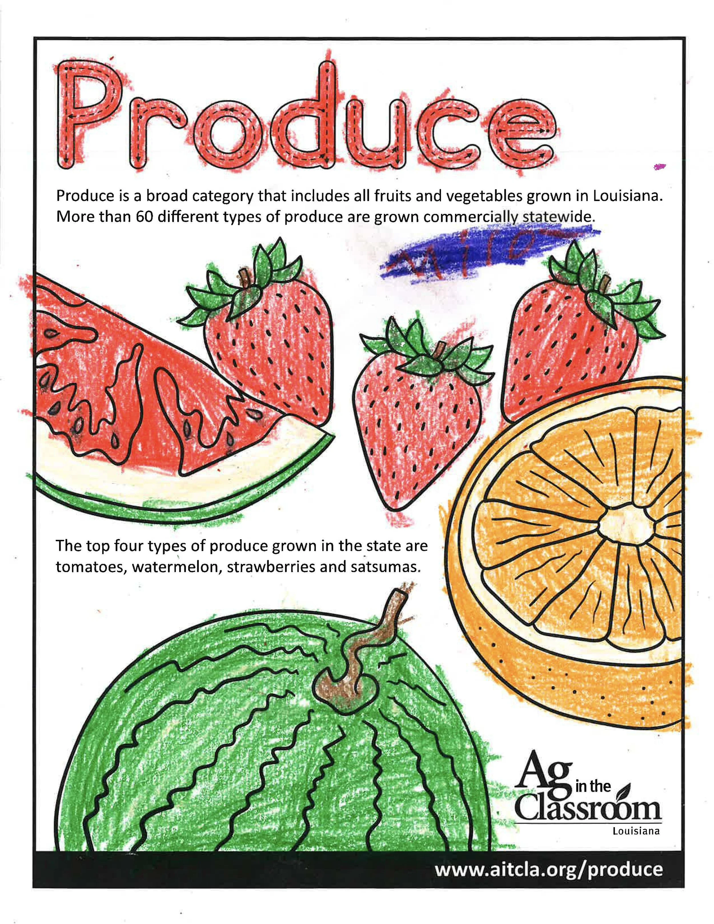 Produce Color Sheets 2026_Page_15.jpg