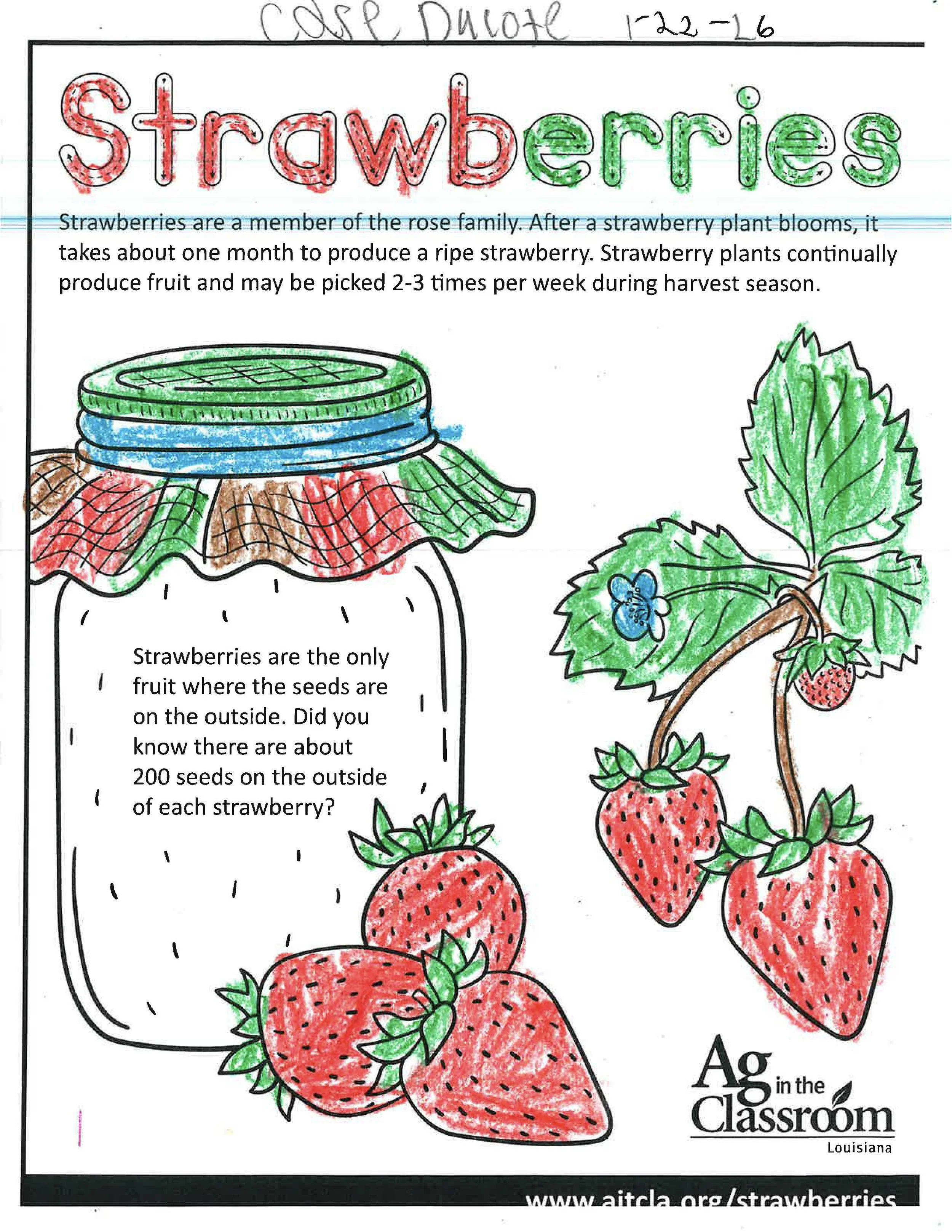 Strawberries Color Sheets 2026_Page_10.jpg