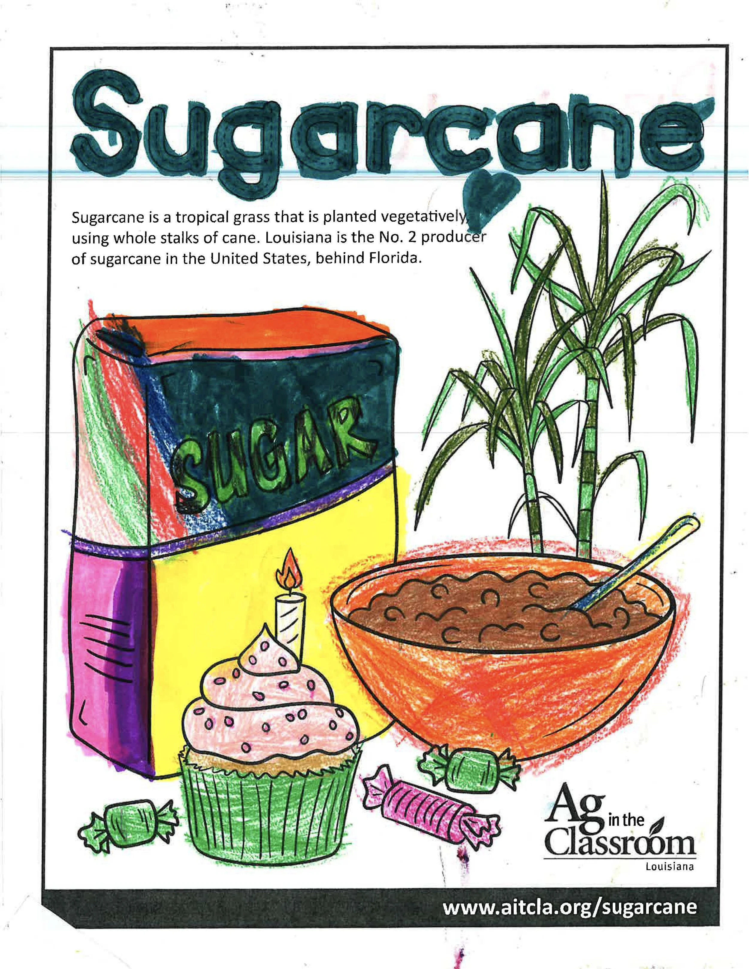 Sugarcane Color Sheets 2026_Page_5.jpg