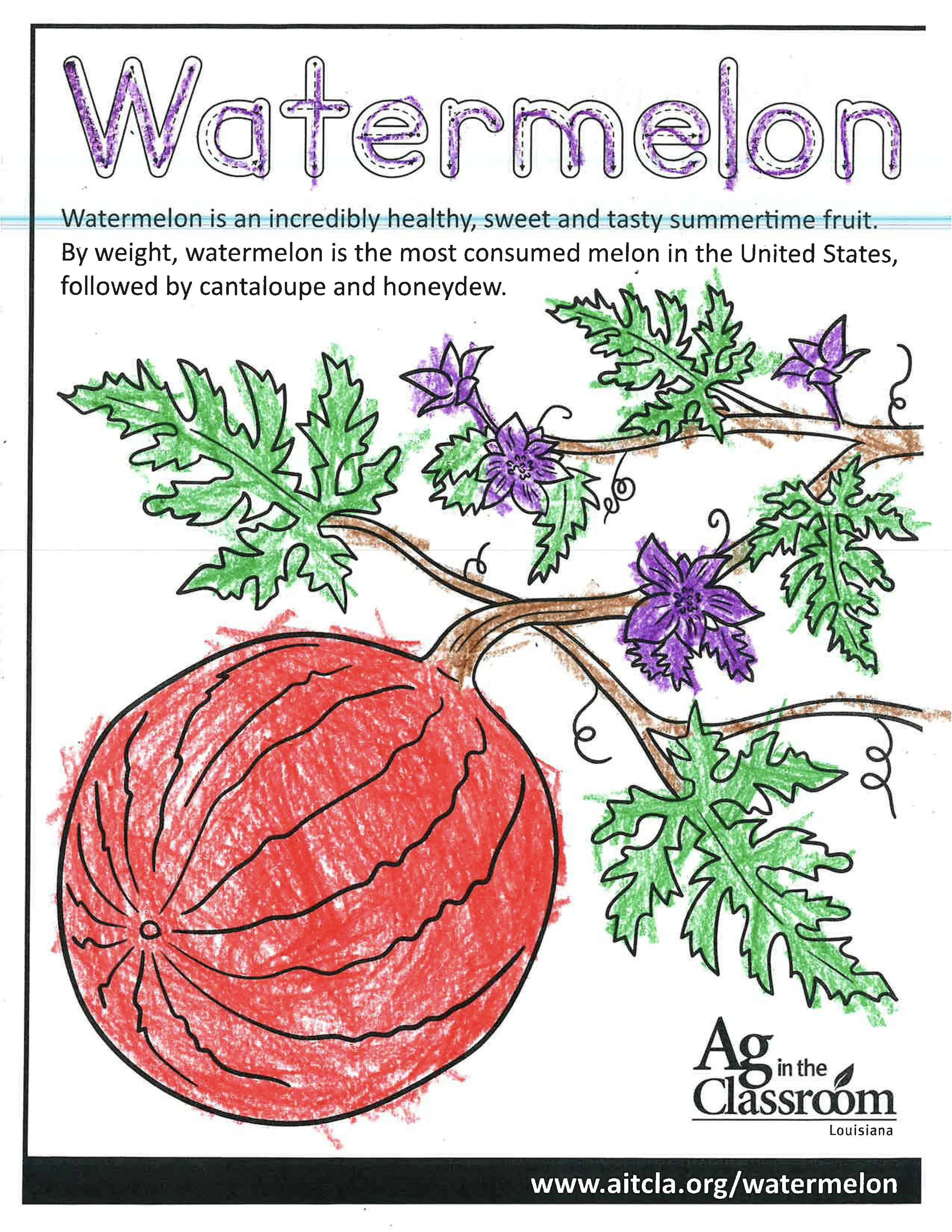 Watermelon Color Sheets 2026_Page_2.jpg