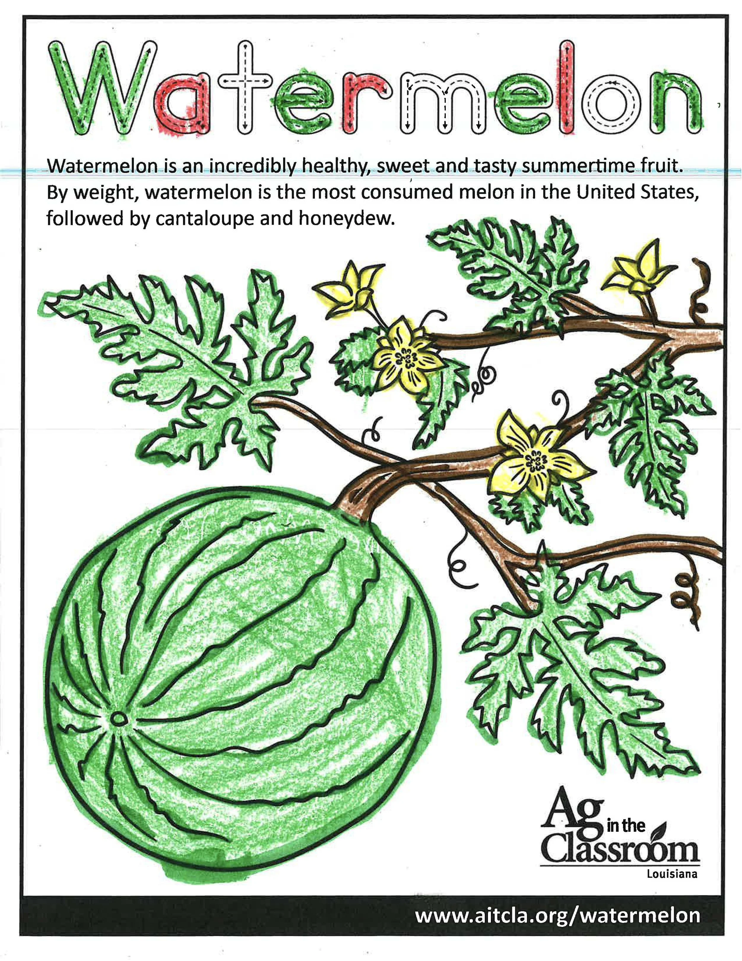 Watermelon Color Sheets 2026_Page_8.jpg