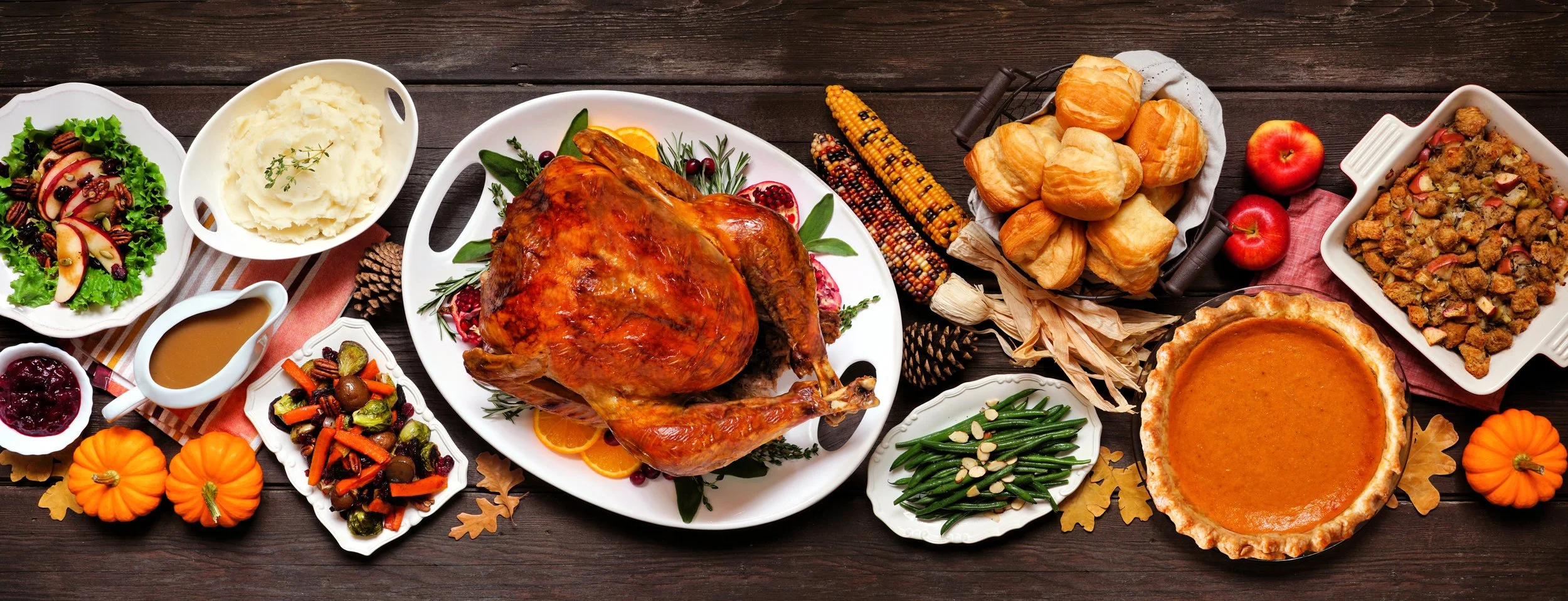 AdobeStock_385085171_Reduced.jpg