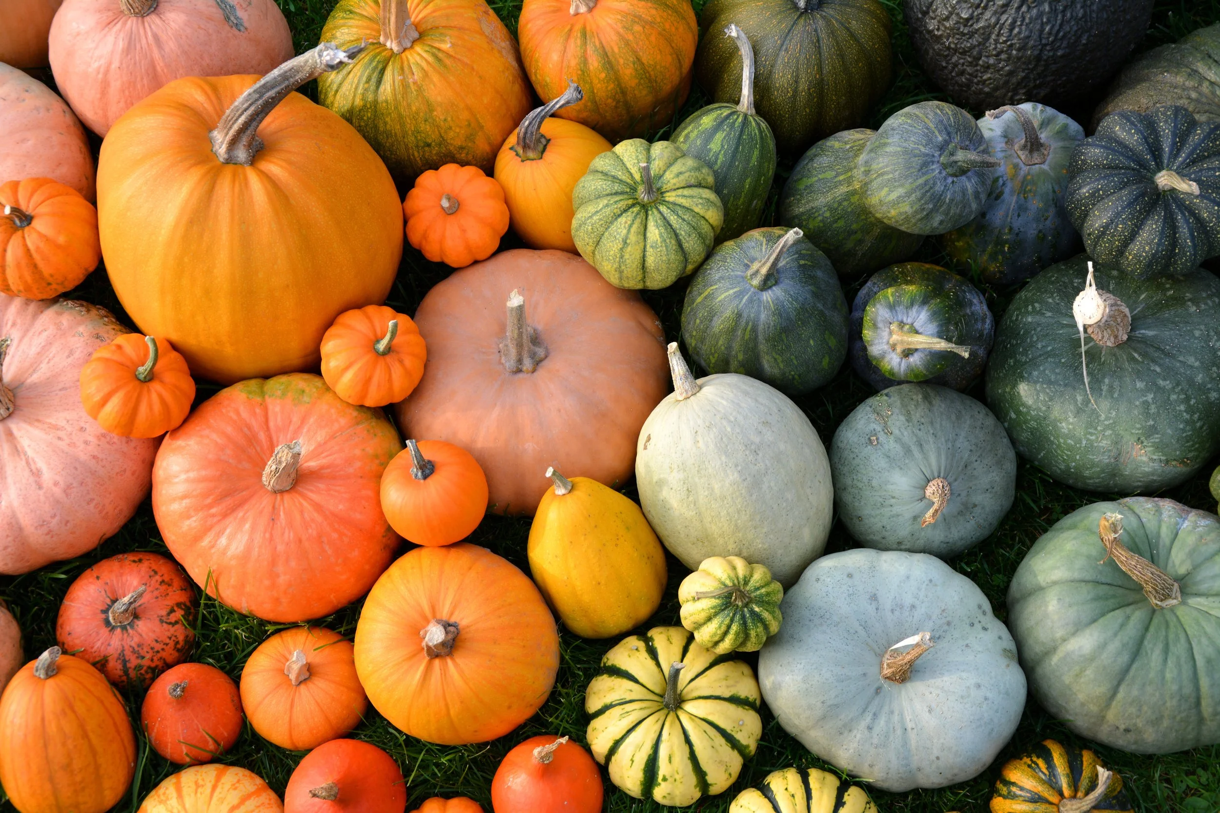 AdobeStock_177921650.jpeg