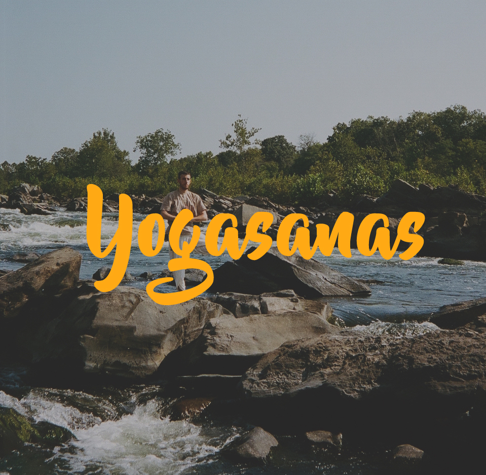 Yogasanas in Ashburn