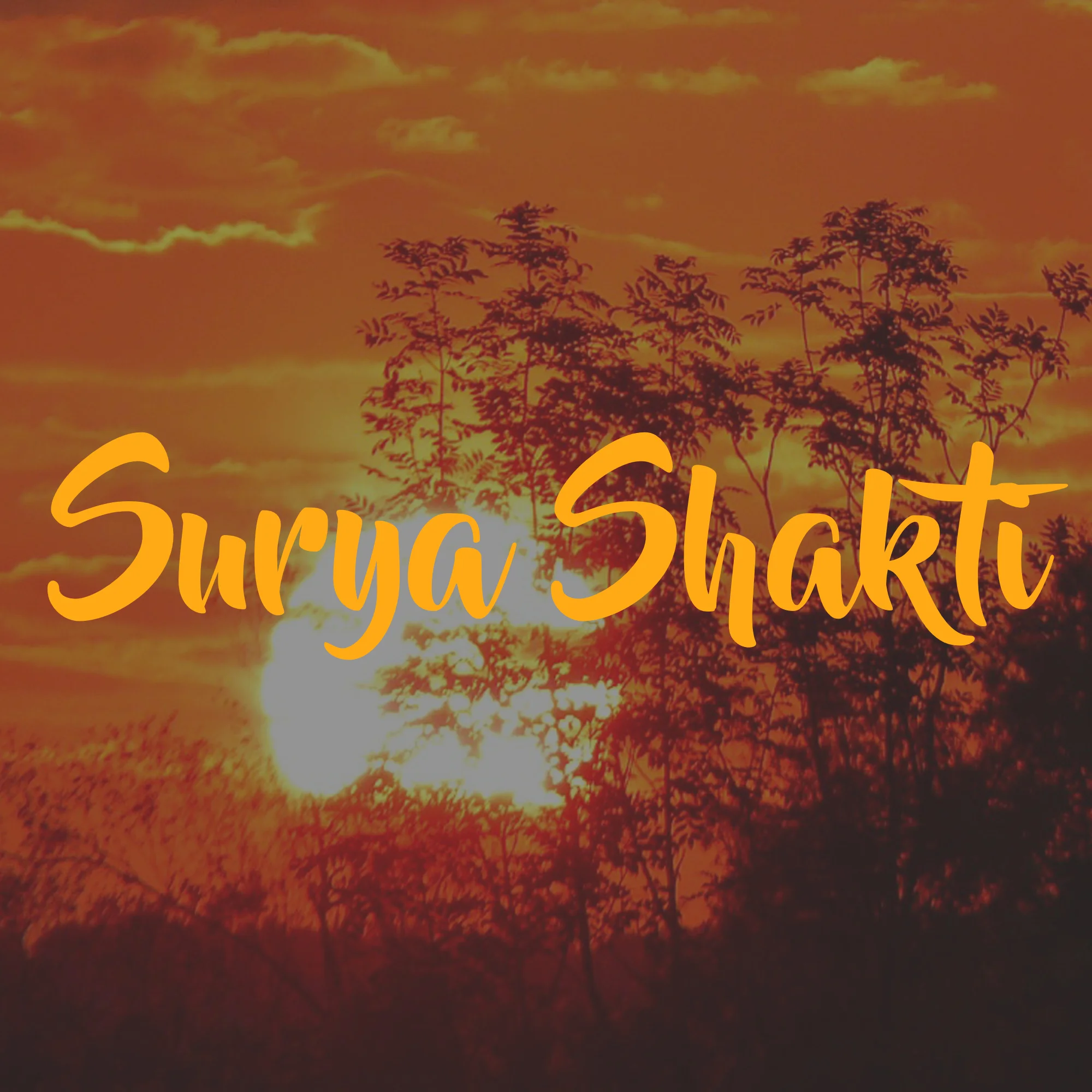 Surya Shatki in Ashburn