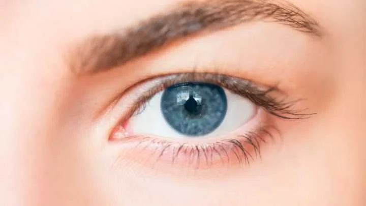 Upa Yoga and Eyecare Practices in Columbia,MD