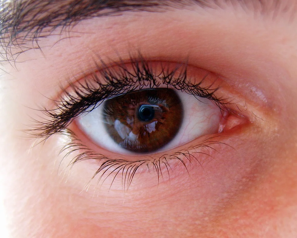 Eye Care Practices with Surya Kriya &amp; Sarvangasana(Ashburn,VA)