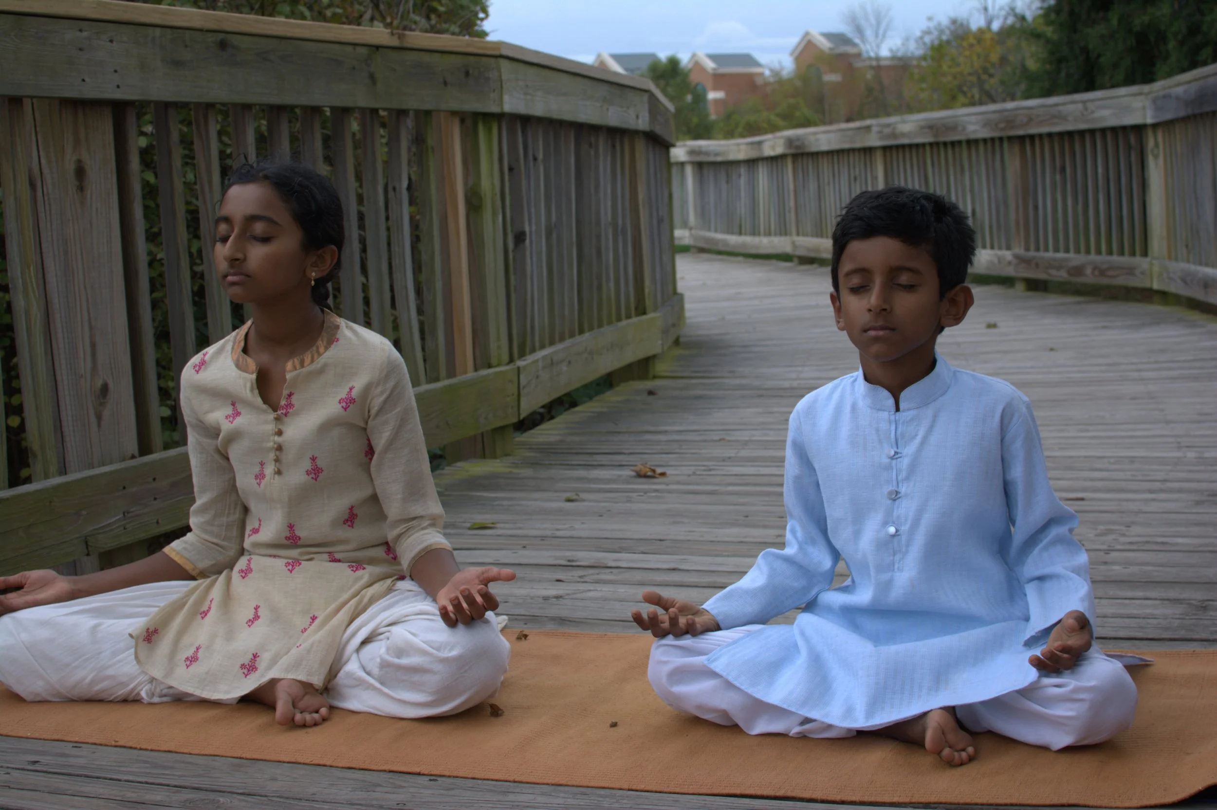 Medha and Vasishta Promo.jpg