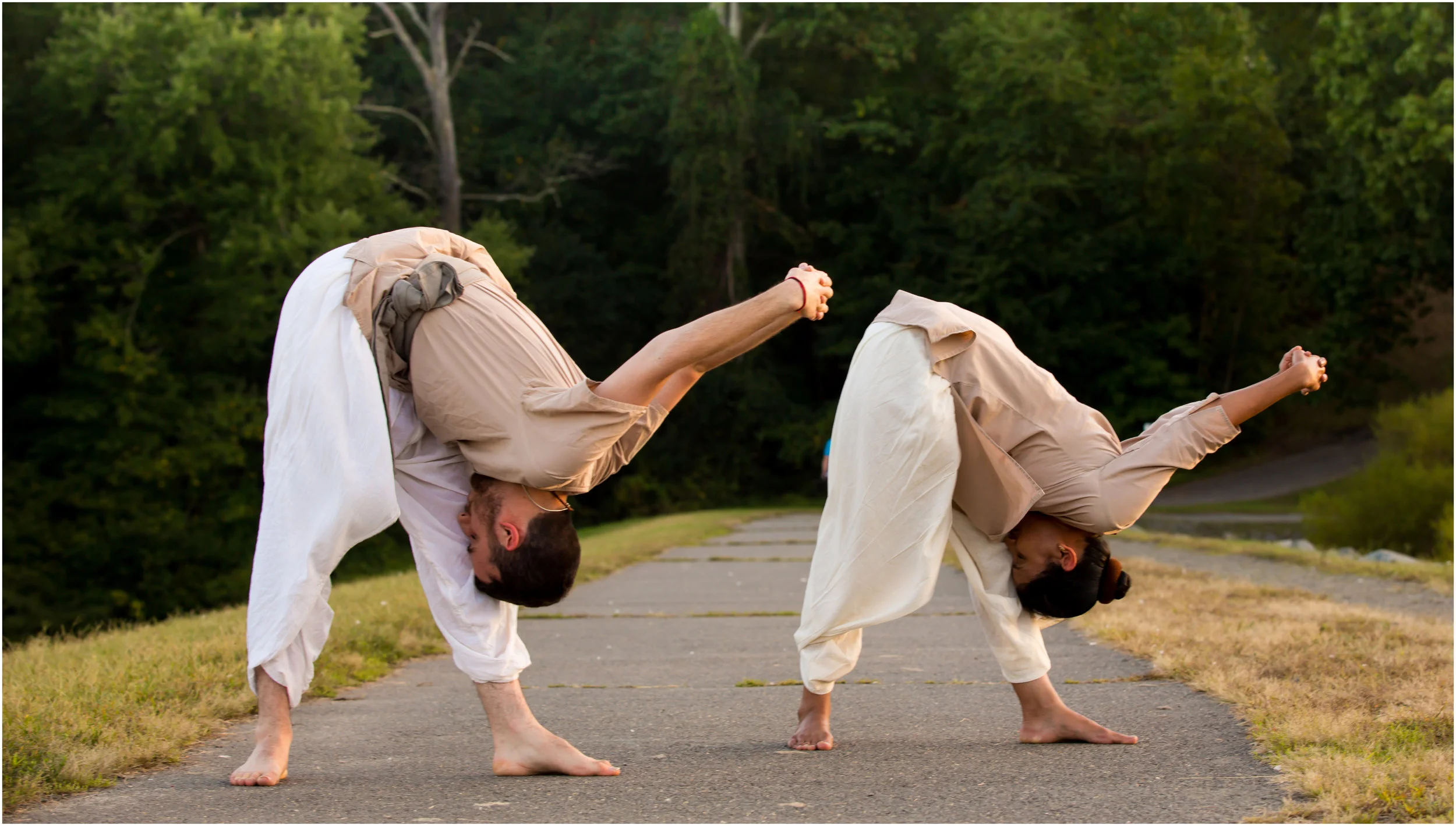 Yogasanas(Beginner) + Spinal Twists workshop in Ashburn,VA