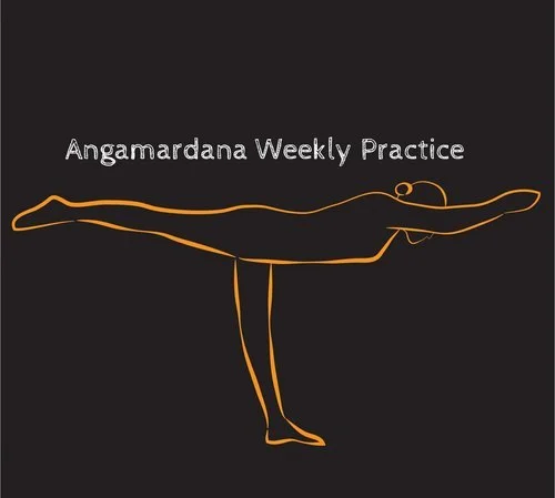 The Yogic Workout - Weekly Guided Practices 