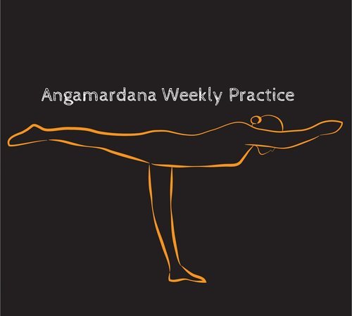 The Yogic Workout - Weekly Guided Practices 