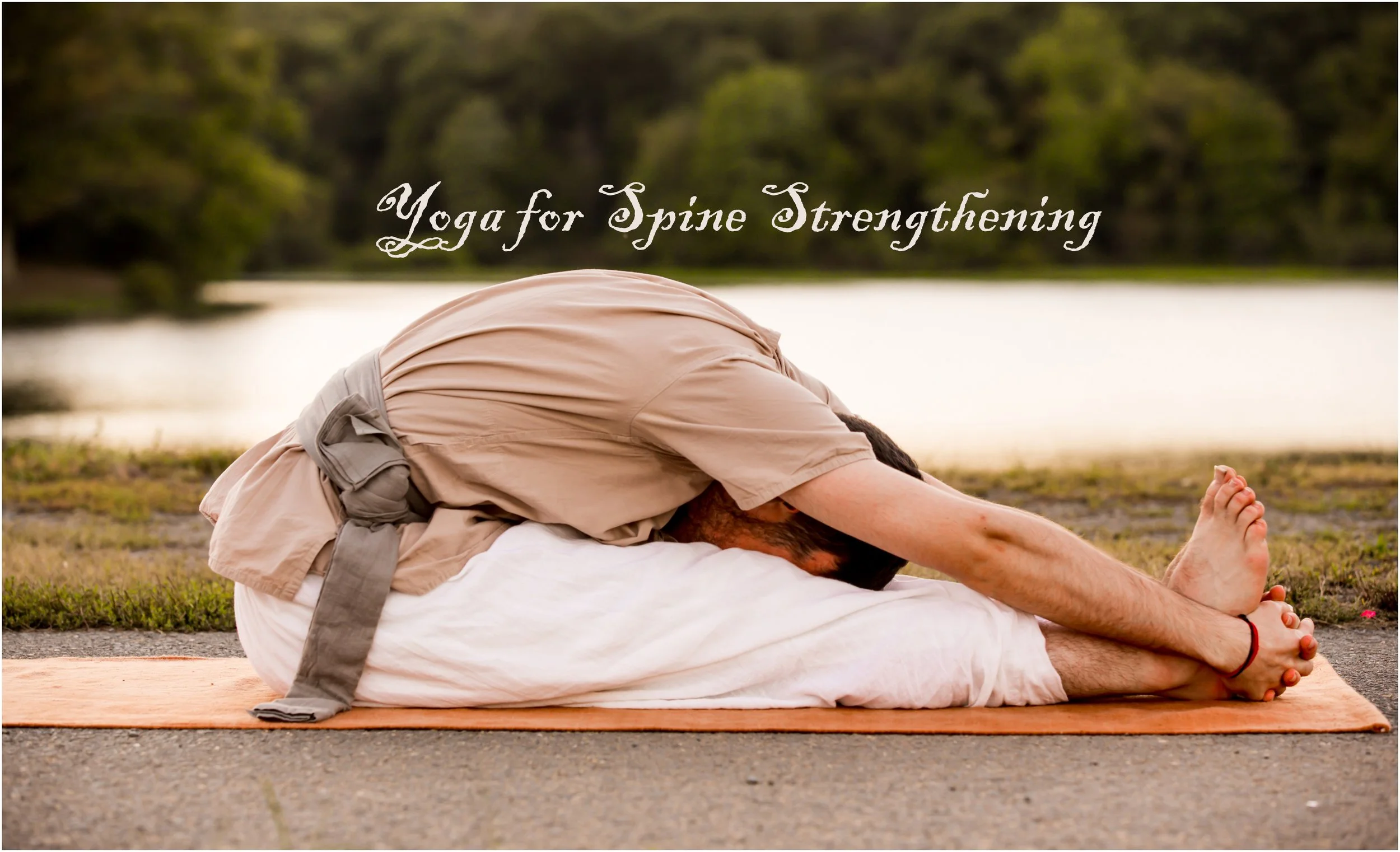 YOGA for Spine Strengthening - Ashburn, VA