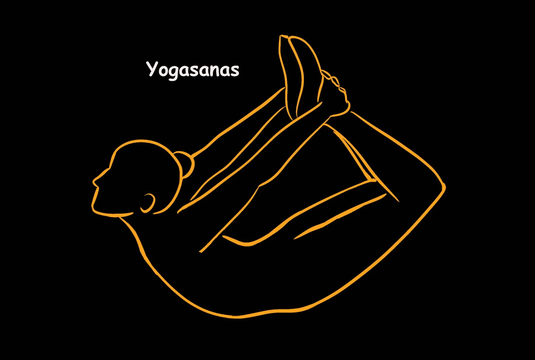 Yogasanas in Ashburn, VA 