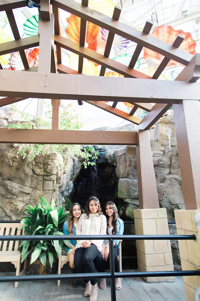 franklinparkconservatoryfamilyphotographer-1.jpg