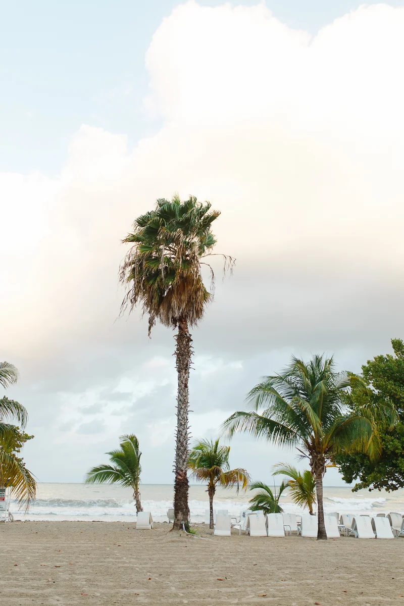 jamaica4-1.jpg