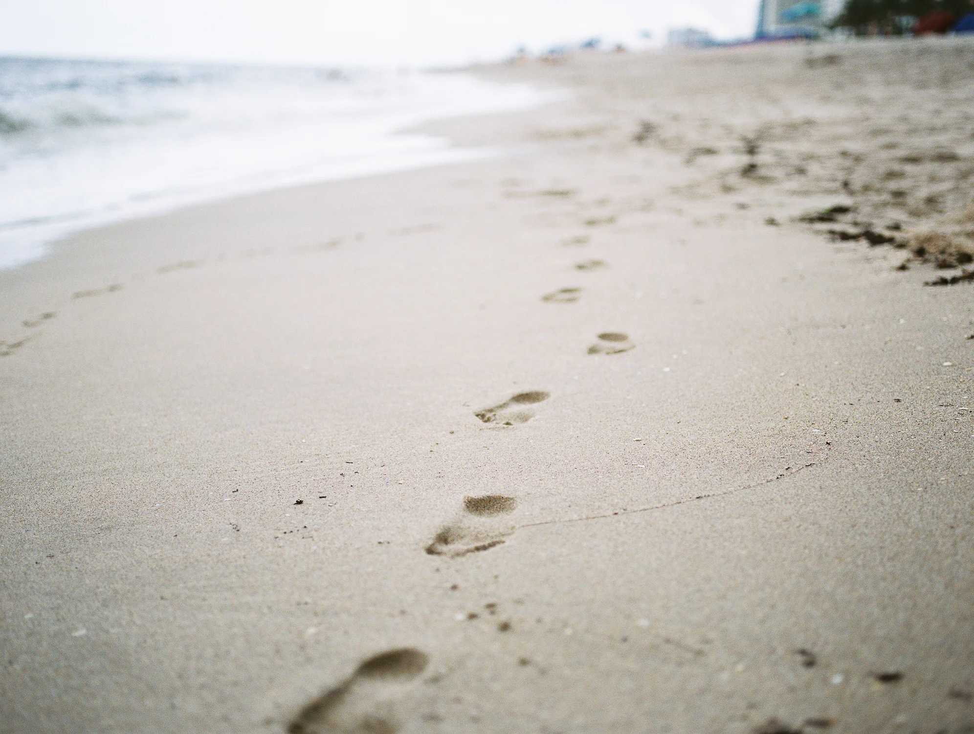 floridafamilyphotos7.jpg