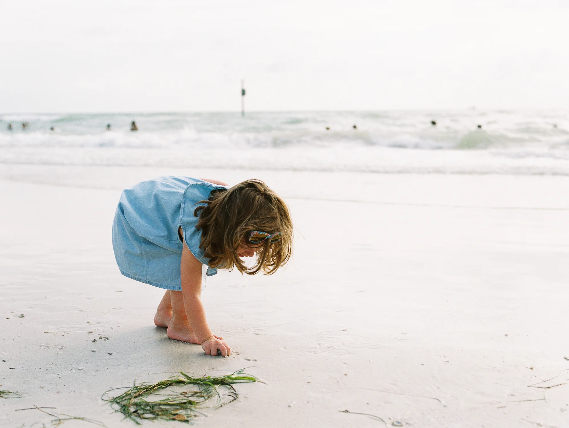 floridafamilyphotos17.jpg