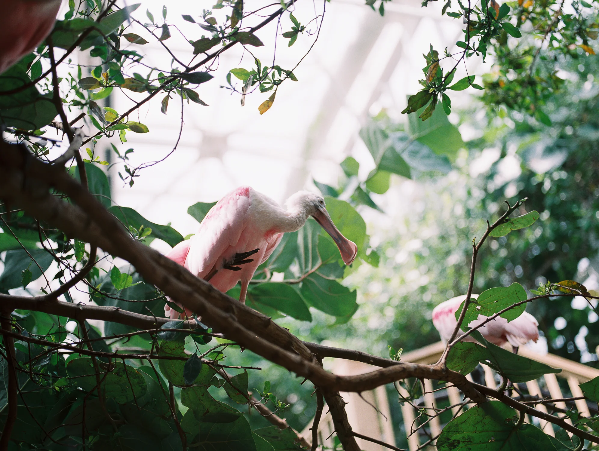 floridafamilyphotos21.jpg
