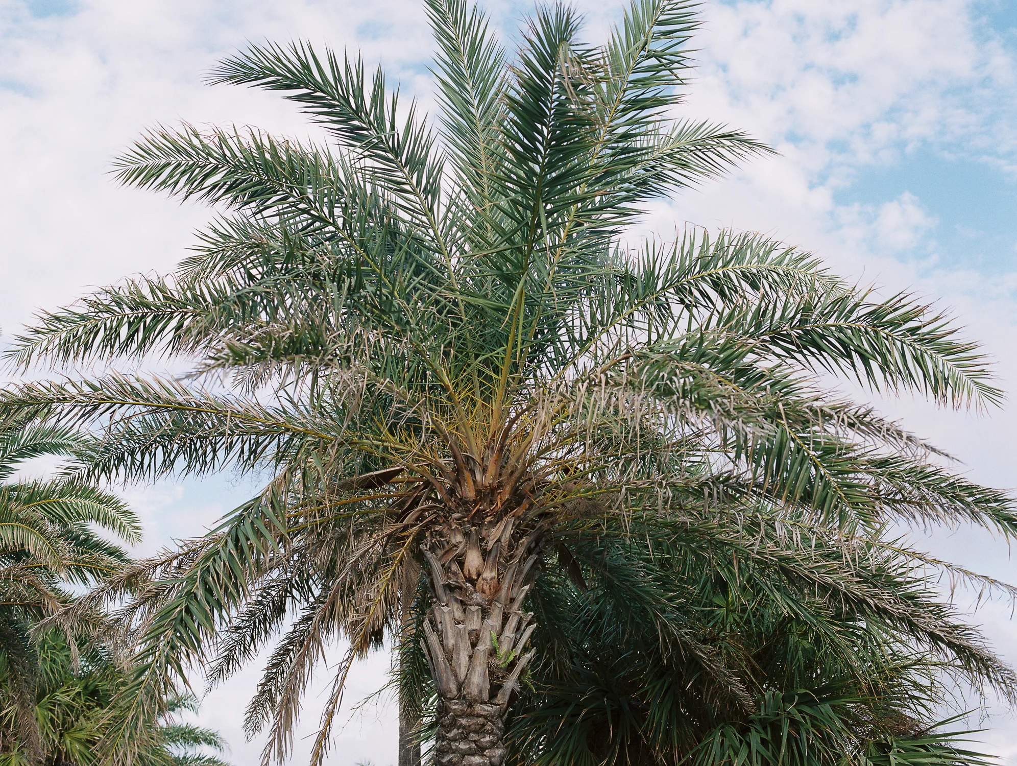 floridafamilyphotos23.jpg
