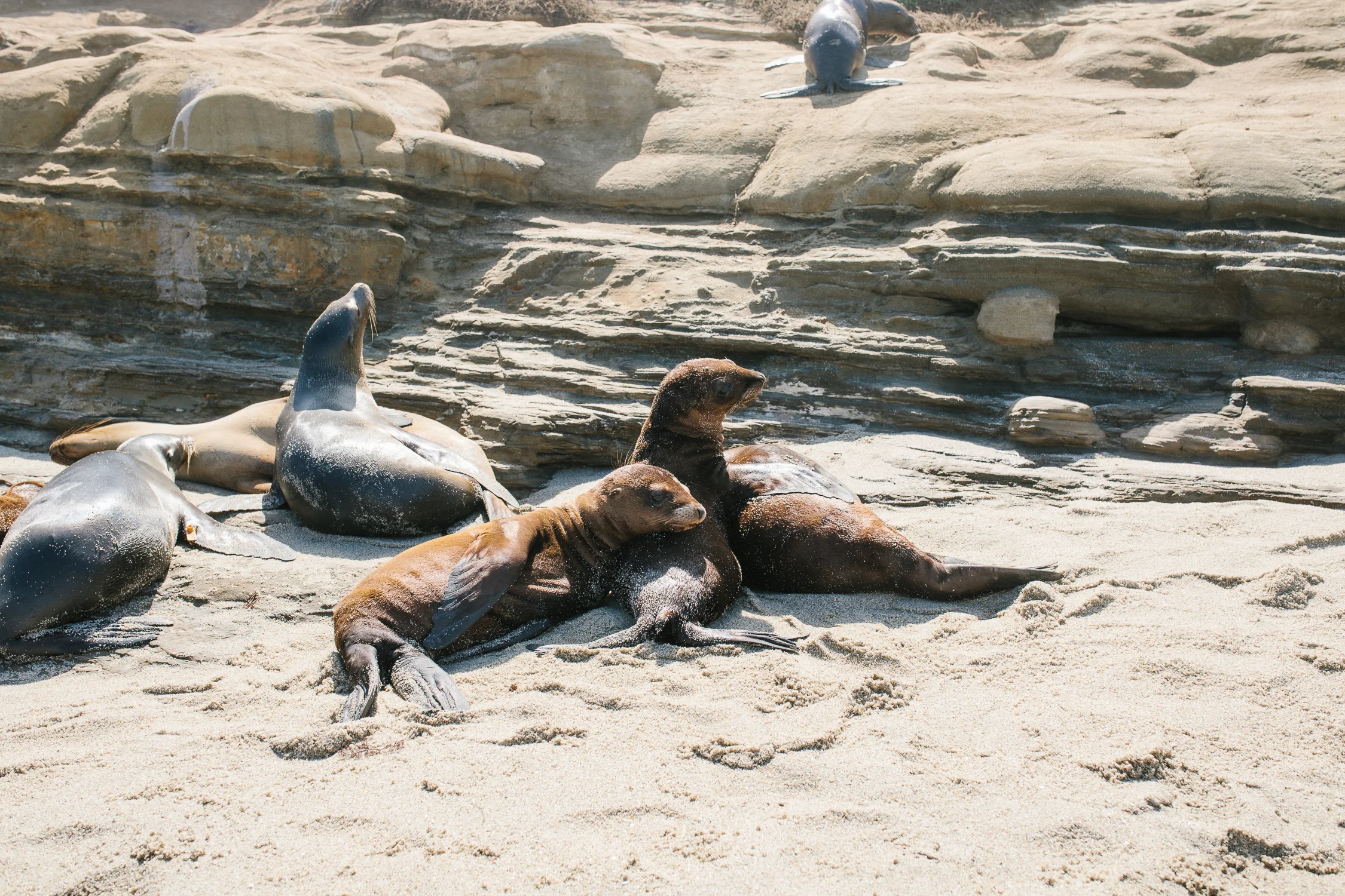 sandiego2-23.jpg