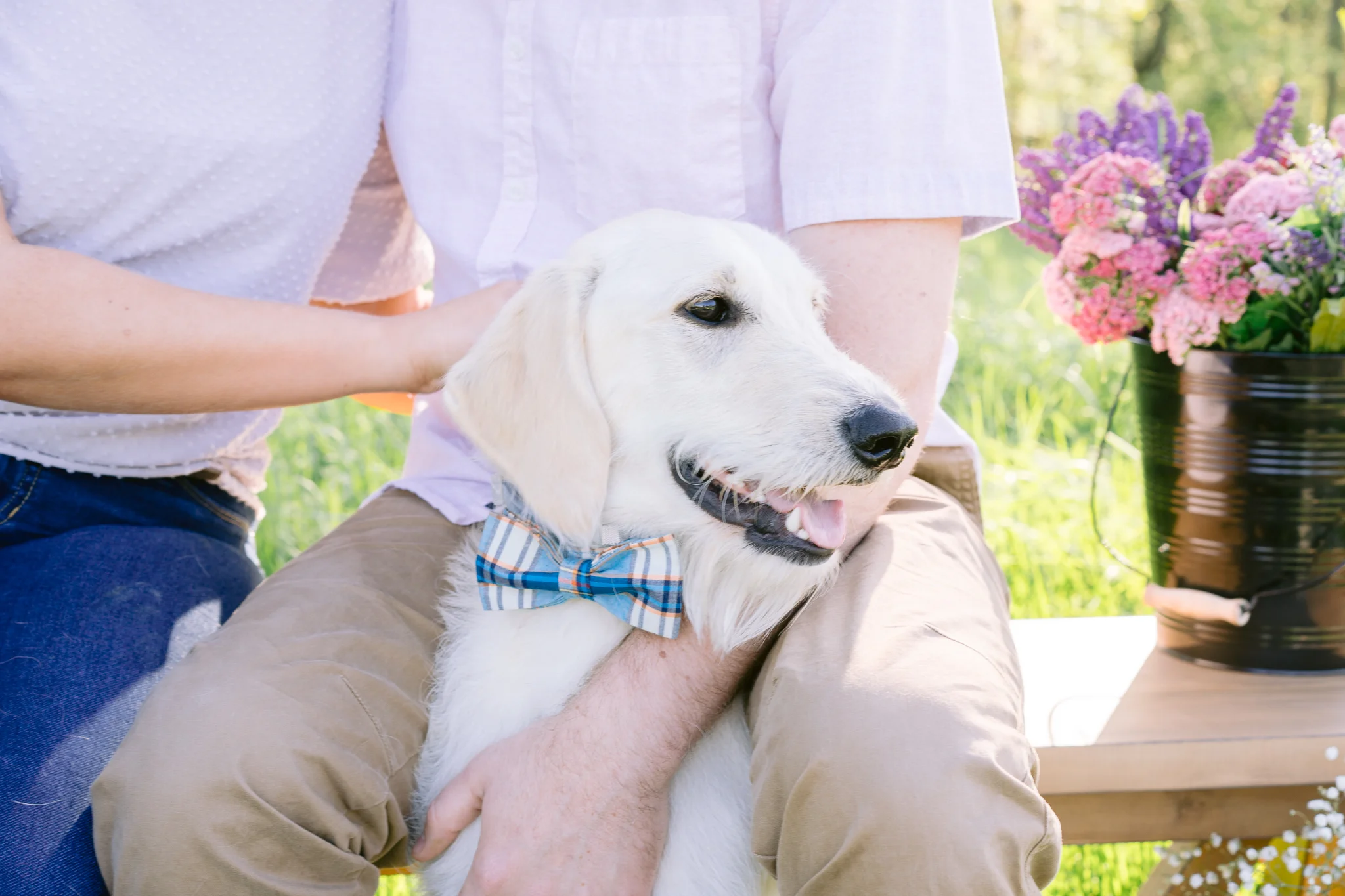 Spring Mini Shoot with their Dog