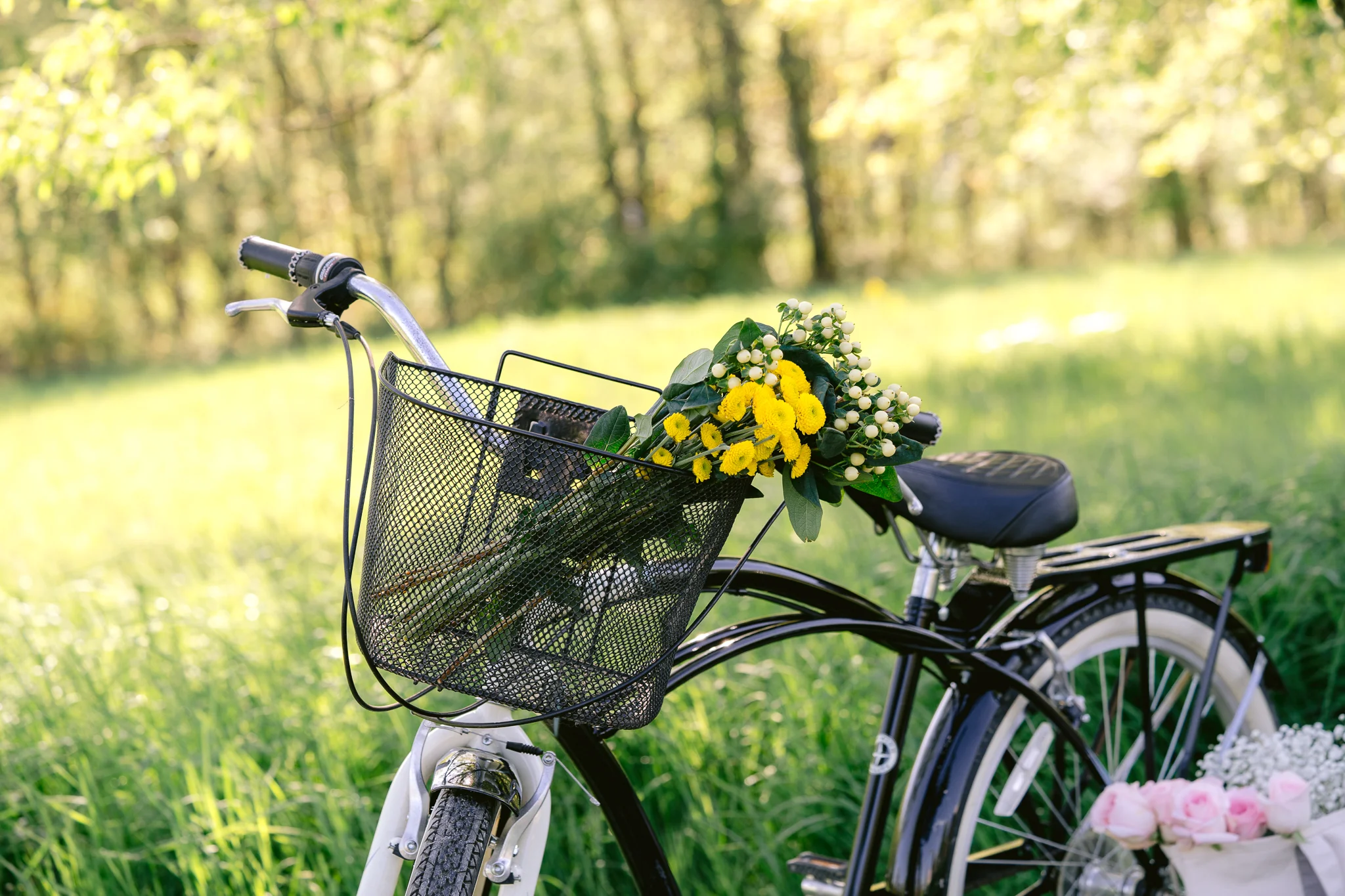 Countryside Bicycle with Flowers