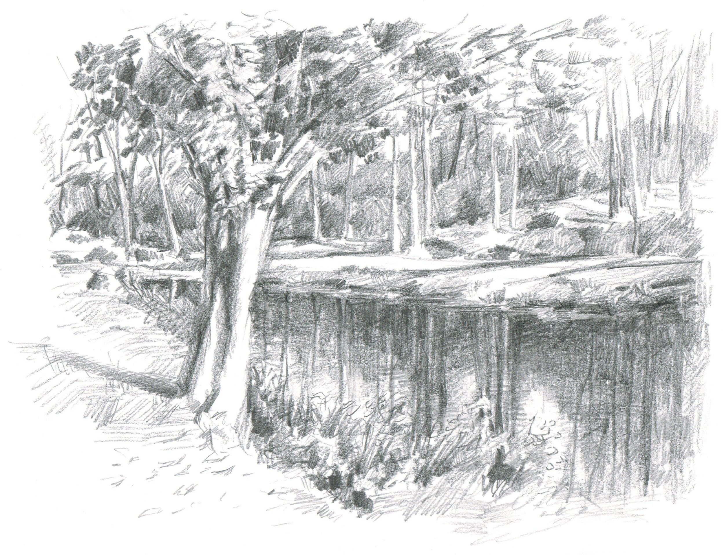 Arboreal Pond, Pencil on bristol board, 9x12