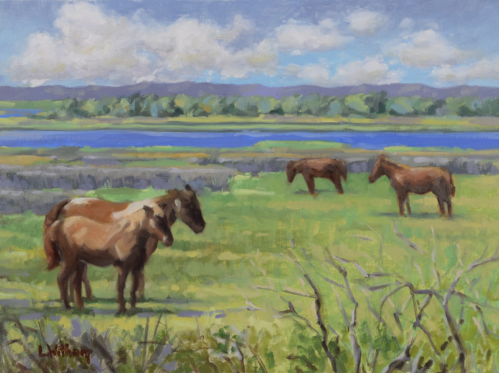 Assateague’s Wild Ponies, Oil on linen, 12x16