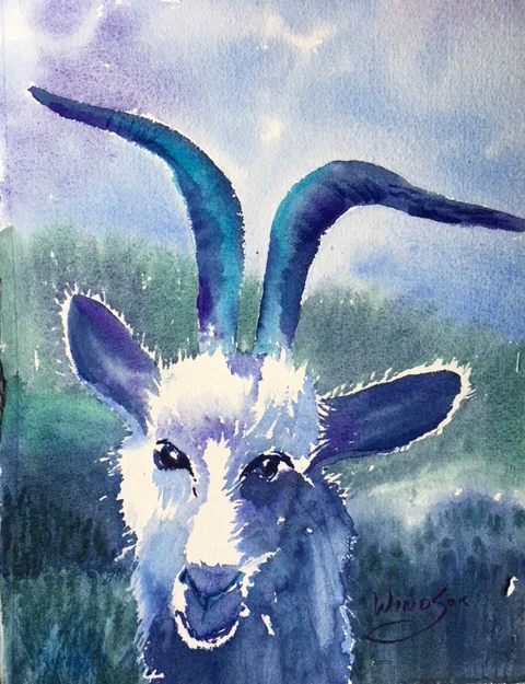 Capricorn Darling