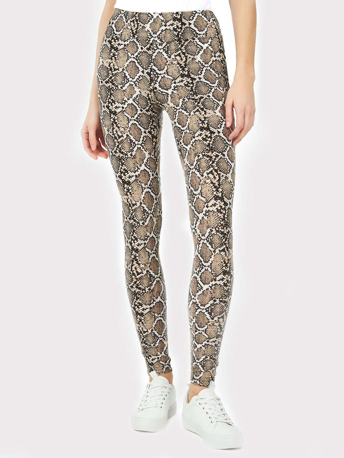 Wide Waistband Snake Print Legging