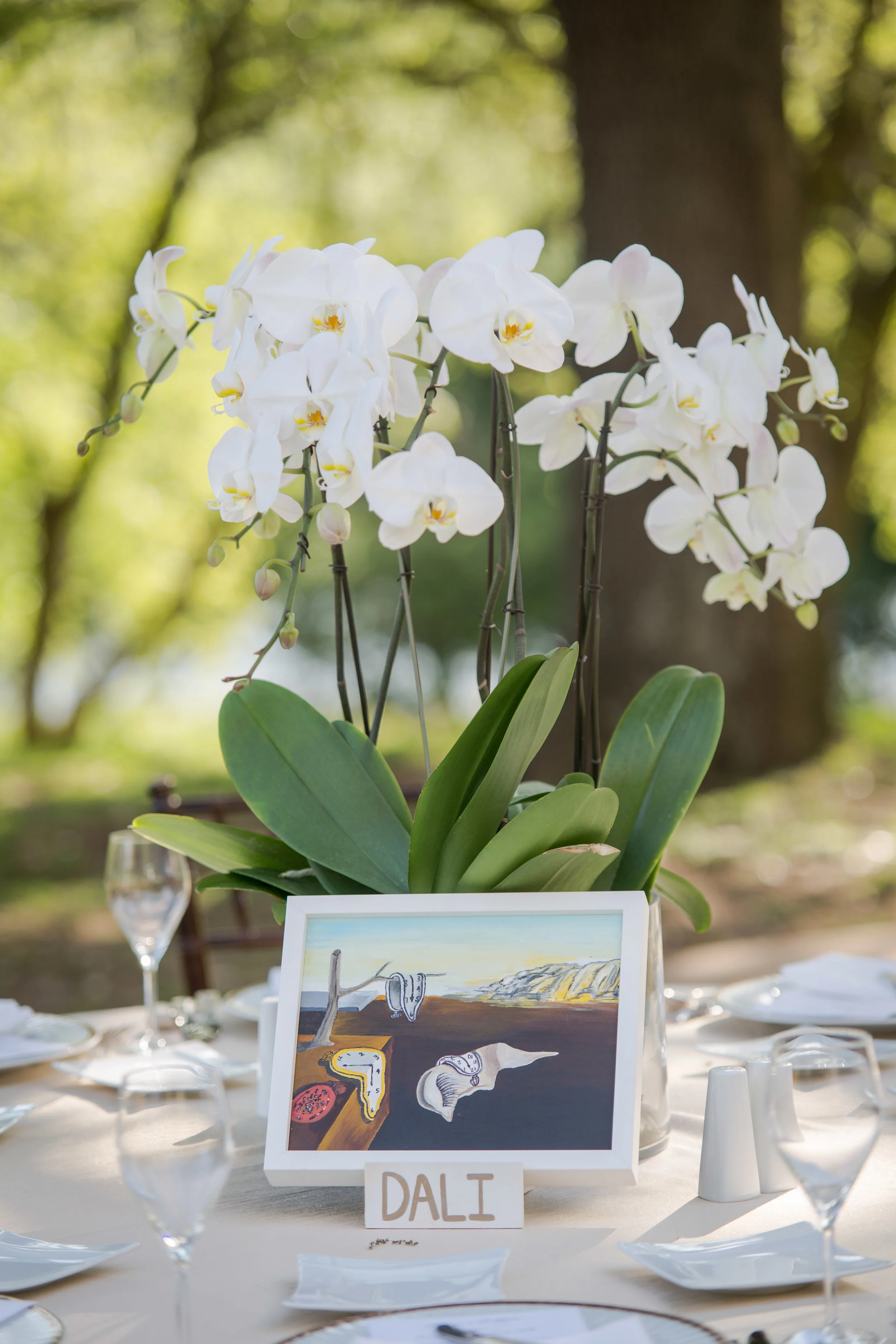 Amini Wedding-431.JPG