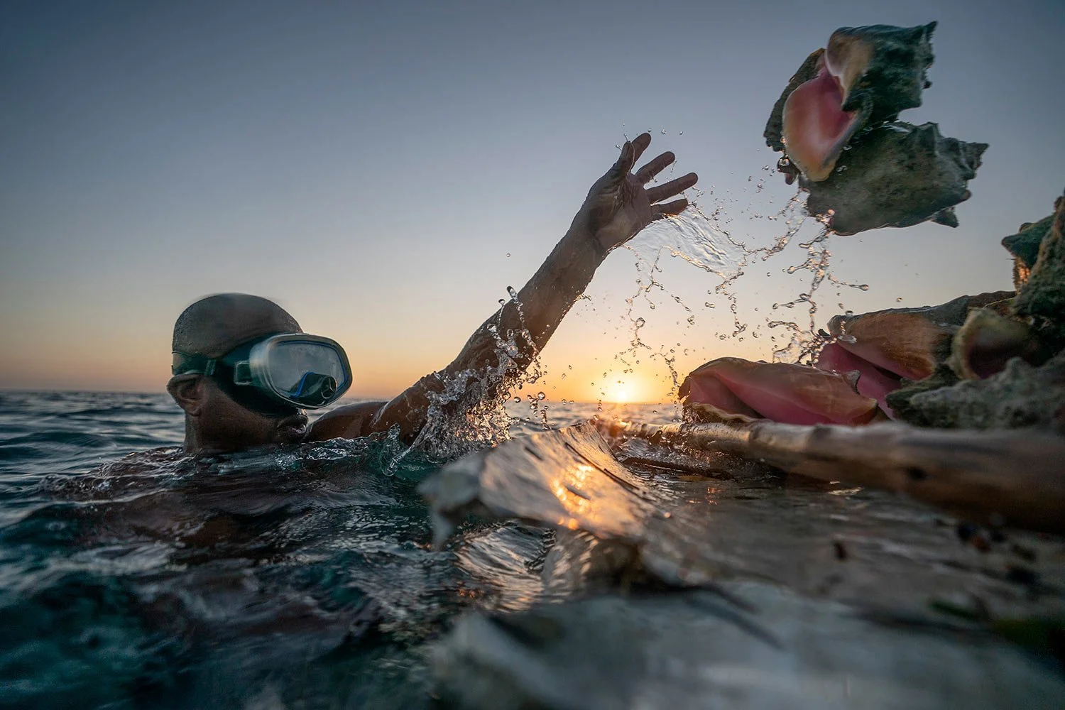 Catching Conch In Bahamas, conch fishing is way of life. But for how long? — AP Photos