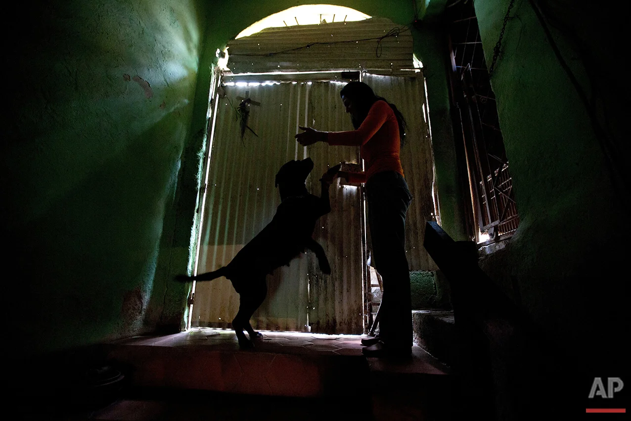 In this July 21, 2016 photo, Katty Quintas, part owner of the Funasissi animal shelter, plays with her pet dog Sissis at the private shelter in the working-class Caracas neighborhood of El Junquito, Venezuela. A popular food substitute for dogs, that would never have been considered in better times, is chickenfeed. “We have to give it to them because there’s nothing else,” said Quintas. (AP Photo/Fernando Llano) See these photos on APImages.com