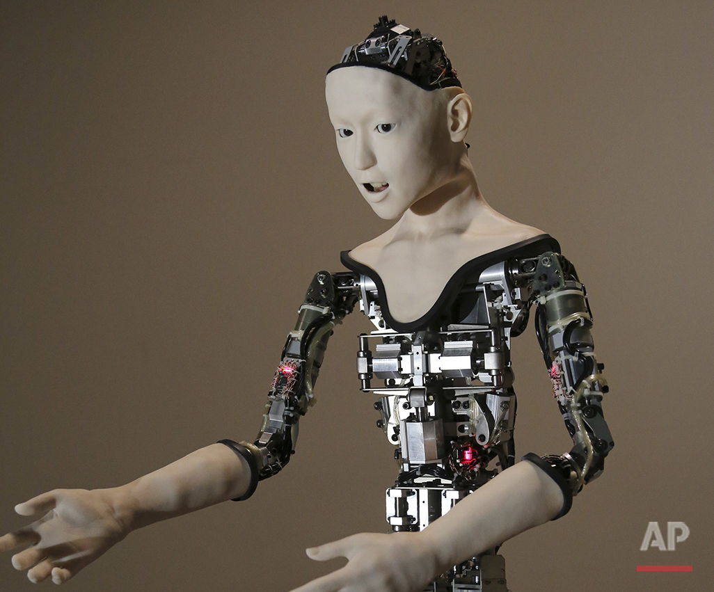 Japan Humanoid Robot