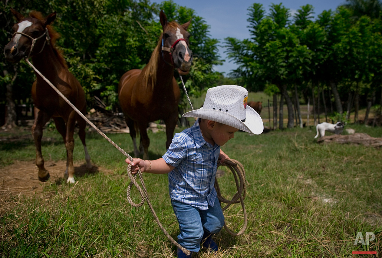  In this July 29, 2016 photo, 2-year-old cowboy Wrangler Ponce pulls two horses at his parents farm in Sancti Spiritus, central Cuba. In the Cuban countryside, many children learn to ride a horse before they learn to ride a bicycle. In Sancti Spiritu