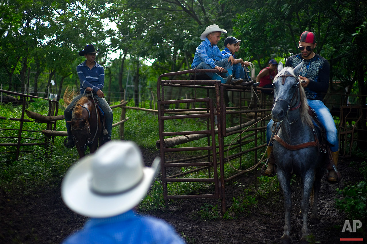  In this July 29, 2016 photo, children of the Future Ranchers organization sit on horses as they wait for the release of a calf during an improvised rodeo event at a farm in Sancti Spiritus, central Cuba. The children enrolled in the non-governmental