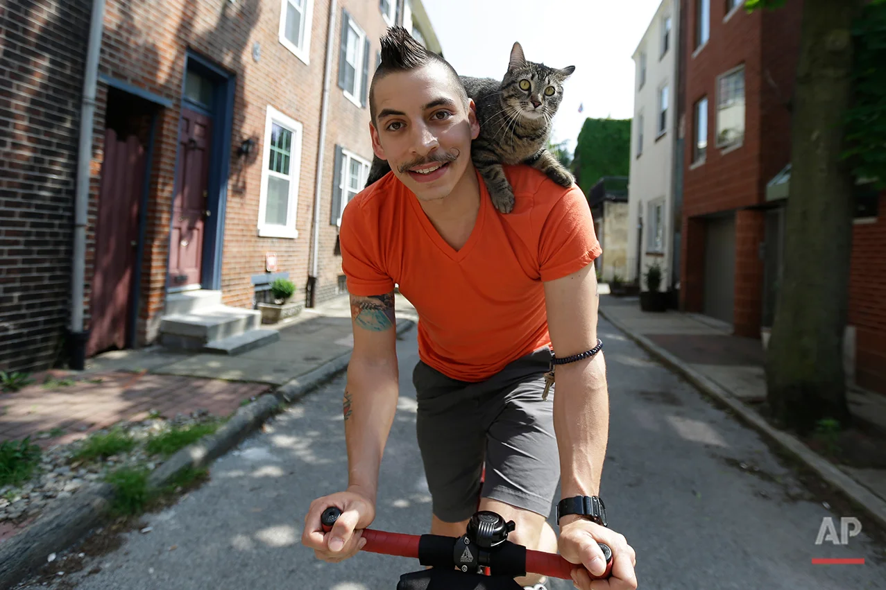 In this Tuesday, May 21, 2013 photo, bicyclist Rudi Saldia and his cat Mary Jane pose for a portrait during an interview with the Associated Press in Philadelphia. Saldia often buzzes around Philadelphia with his year-old feline Mary Jane perched on his shoulder. Their urban adventures have turned heads on the street and garnered big hits on YouTube. (AP Photo/Matt Rourke)