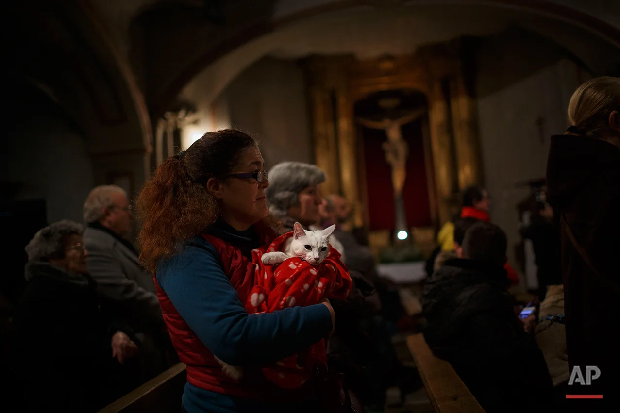  A woman holds her cat as worshipers attend a mass in the Saint Anton church in Madrid, Spain, Saturday, Jan. 17, 2015. It is the animal patron saints day in which thousands of people all over Spain bring their pets to churches to be blessed.(AP Phot