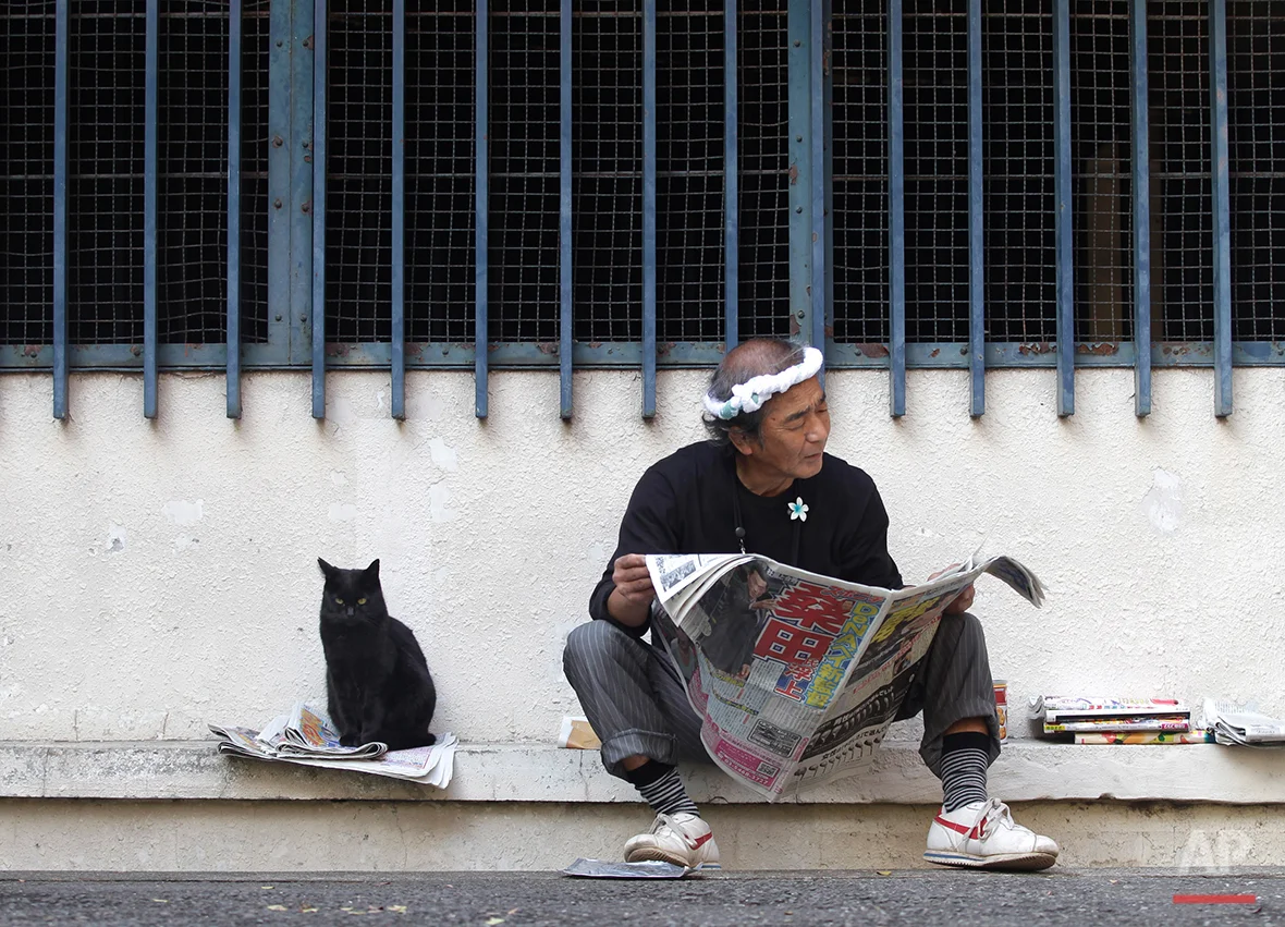  A cat sits by a man reading a newspaper at a park in Tokyo Monday, Nov. 7, 2011. (AP Photo/Shizuo Kambayashi) 
