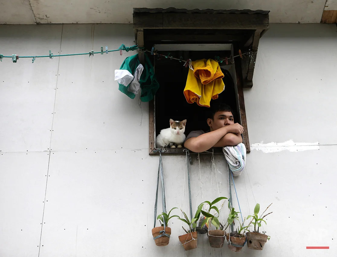  A marooned resident peers from his upper floor window with his cat following flooding which was spawned by typhoon Sanba (local name "Karen") Saturday Sept.15, 2012 at San Juan city, East of Manila, Philippines. The rains flooded low-lying areas of 