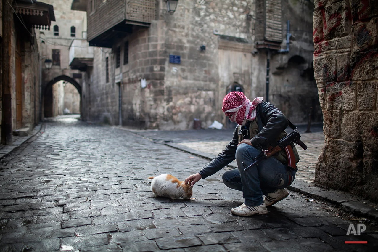 In this Sunday, Jan. 6, 2013 photo, A Free Syrian Army fighter feeds a cat bread in the old city of Aleppo, Syria. (AP Photo/Andoni Lubaki)