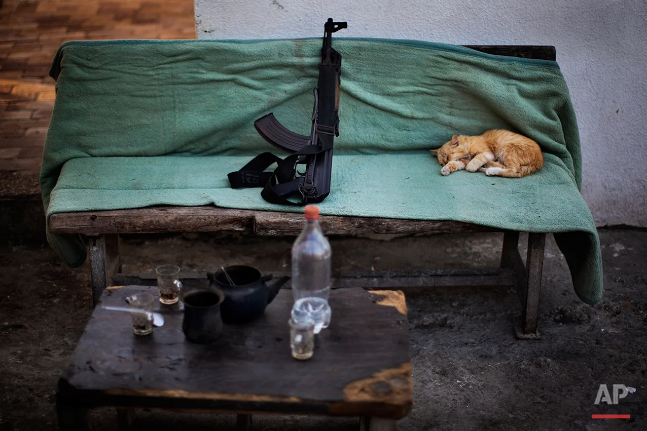  A cat sleeps next a Kalashnikov weapon  on a Hamas security check point in Gaza City, Tuesday, Oct. 30, 2012. (AP Photo/Bernat Armangue) 